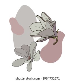 Color drawing of a branch of magnolia with flowers and leaves. Vector isolated on background.