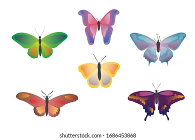 Color drawing butterfly. Beautiful butterflies on a white background for design. Collection set of colorful butterflies. Hand drawn isolated vector illustration.