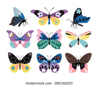 Color drawing butterfly set. Stylized multicolor butterflies and moths, colorful papillons of wildlife, vector illustration creatures of fauna isolated on white background