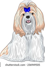 color drawing of the dog breed Shih Tzu isolated on a white background