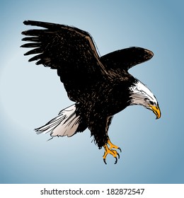 Color drawing of an eagle. Vector illustration