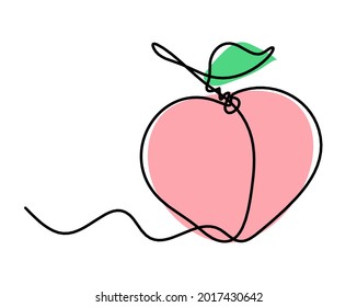 Color drawing line apricot (peach, nectarine, plum) on the white background. Vector