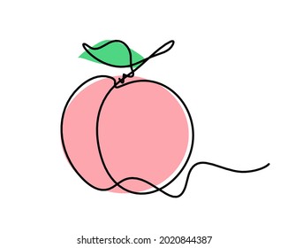 Color drawing line apricot (peach, nectarine, plum) on the white background. Vector