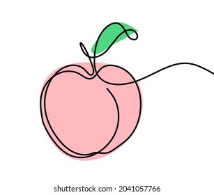 Color drawing line apricot (peach, nectarine, plum) on the white background. Vector