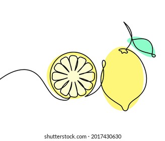 Color drawing line lemon on the white background. Vector