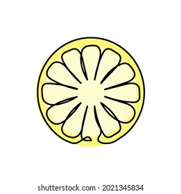 Color drawing line lemon on the white background. Vector