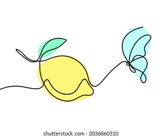 Color drawing line lemon on the white background. Vector