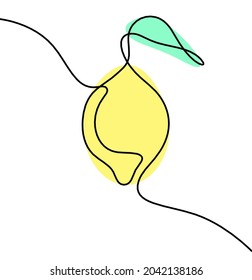 Color drawing line lemon on the white background. Vector
