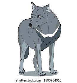 Cartoon Wolf Images, Stock Photos & Vectors | Shutterstock