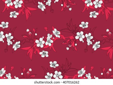 Color drawing vector cherry flowers blossom on vinous background