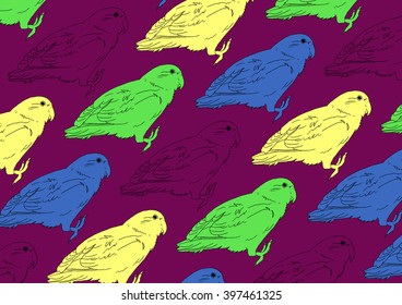 Color drawing vector isolated parrots on purple background