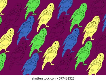 Color drawing vector isolated parrots on purple background