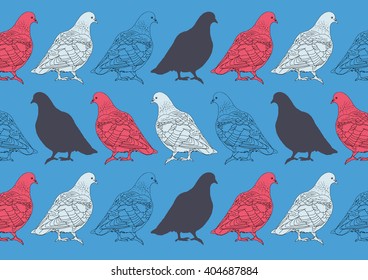 Color drawing vector isolated pigeons on blue background