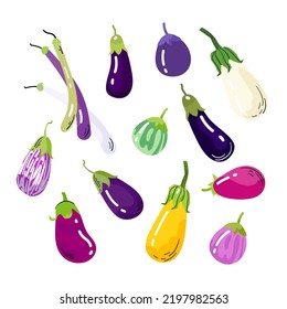 Color Eggplant different sort set isolated on white background. Fresh organic vegetable. Vector flat illustration autumn harvest