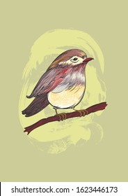 Color engraving  sketch of a tit bird on a tree branch with grunge effects. Handmade drawing vector illustration. Vintage style.