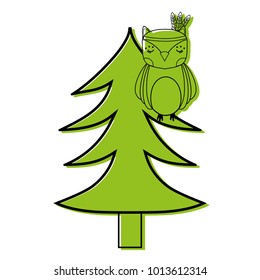 color ethnic owl animal in pine tree