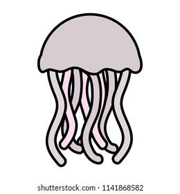 color exotic jellyfish marine animal with tentacles