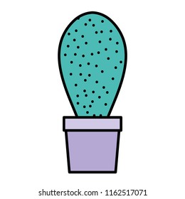 color exotic plant with nice leaf in the flowerpot
