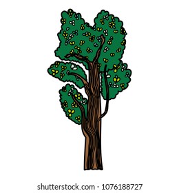color exotic tree with leaves style and branches