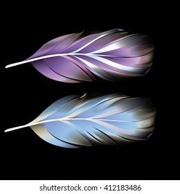 the color feather on black background