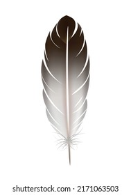 Color feathers realistic composition with isolated image of colored birds feather on blank background vector illustration
