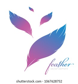 Color feathers, vector, badge, logo, card. Light background. Vector illustration