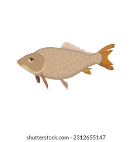 Color Fish Icon Vector Design.