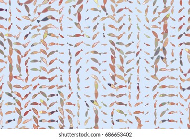 Color fish illustrations background, hand drawn. Vector graphic.