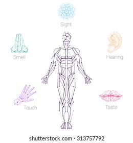 Color Five Senses Hand Lips Eye Ear Nose and Human