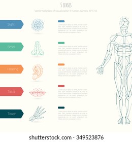 Color Five Senses. Symbols of Hand Lips Eye Ear Nose. Abstract vector info graphic illustration with sample text