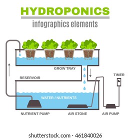 Color flat cncept depicting scheme and the principle of hydroponics vector illustration