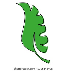 color flat exotic leaf plant design