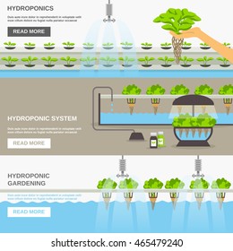 Color flat horizontal banners about hydroponic system gardering with text field vector illustration