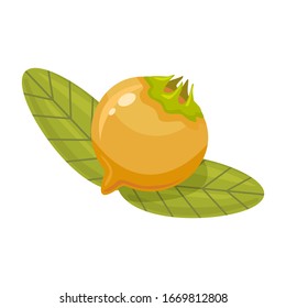 Icono plano de color de germanica madura medallera madura o medlar común con hojas sobre un fondo blanco aislado. Ilustración vectorial. Apple y con sépalos permanentes desplegados, aspecto hueco.