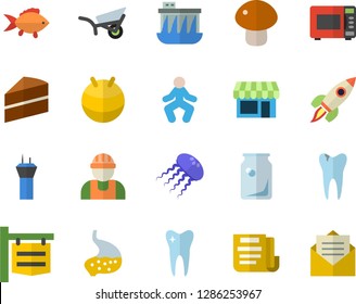 Color flat icon set builder flat vector, cake, microwave, fish, mushroom, garden wheelbarrow, hydroelectric power station, glass bottles, signboard, tooth, caries, stomach, document, rocket, fitball