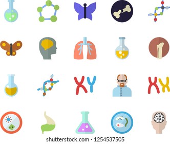 Color flat icon set butterflies flat vector, chemistry, medical analysis, DNA, chromosomes, bone fracture, stomach, lungs, flask, molecule, scientist, Petri dish, brain fector