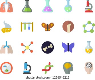 Color flat icon set butterflies flat vector  chemistry  DNA  bone fracture  stomach  lungs  flask  molecule  microscope  beakers  Petri dish  brain fector