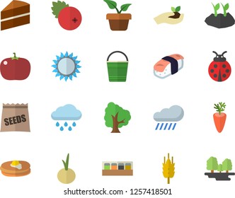 Color flat icon set cake flat vector, gas, spice, pancakes, carrot, onion, tomato, sashimi, cranberry, seeds, ear, home plant, tree, ladybird, seedlings, bucketful, planting plants, rain, forest