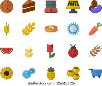 Color flat icon set cake flat vector, gas, double boiler, ear, legumes, biscuit, pancakes, watermelon, pineapple, honeycomb, carrot, flower, ladybird, tulip, pond, solar battery