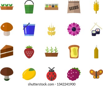 Color flat icon set cake flat vector, spice, lemon, mushroom, fish rolls, Strawberry, blackberry, mustard, sandwich, ear, seeds, flower, ladybird, bucketful, seedlings, butterflies