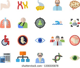 Color flat icon set calculator flat vector, hierarchy, target audience, team, disabled, injury, eye, embryo, chromosomes, stomach, lungs, recruitment, scientist, dna, brain, muscles, swimming