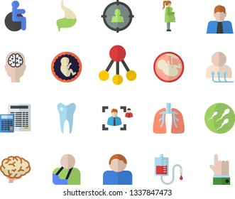 Color flat icon set calculator flat vector, hierarchy, person, target audience, blood transfusion, disabled, injury, diagnostics, embryo, gestation, sperm, tooth, stomach, lungs, recruitment, brain