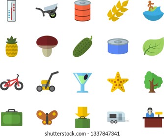 Color flat icon set canned food flat vector, cucumber, cocktail, pineapple, mushroom, thermometer, tree, garden wheelbarrow, butterflies, lawn mower, leaf, ear, bicycle, trailer fector, suitcase