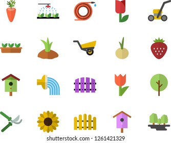 Color flat icon set carrot flat vector, onion, Strawberry, nesting box, tree, flower, sprinkling machine, hose, fence, secateurs, planting plants, irrigation, garden wheelbarrow, tulip, seedlings