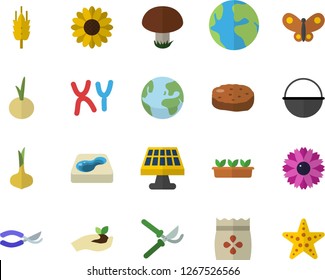 Color flat icon set cauldron flat vector, onion, cutlet, mushroom, seeds, ear, flower, secateurs, seedlings, butterflies, pool, solar battery, earth, chromosomes, fector, starfish