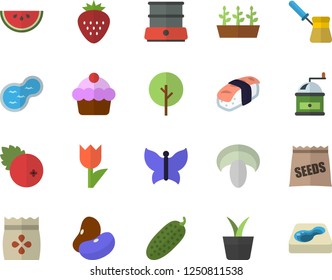 Color flat icon set coffee grinder flat vector, turk, double boiler, legumes, cake, watermelon, mushroom, cucumber, sashimi, cranberry, Strawberry, seeds, home plant, tree, tulip, seedlings, pond