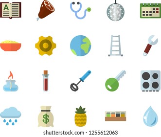 Color flat icon set cogwheel flat vector, whisk, electric stove, spice, porridge, ham, pineapple, ladder, rain, wrench, wealth, blood test, stethoscope, calendar, gas burner, earth fector, key, book