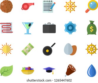 Color flat icon set cogwheel flat vector, warm floor, teflon, spaghetti, egg, salad, ham, cutlet, cocktail, sun, tree leaf, case, wealth, notepad, bachelor cap, whistle, steering wheel fector, drop