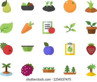 Color flat icon set colander flat vector, carrot, salad, cranberry, Strawberry, blackberry, plum, pear, orange, home plant, planting plants, seedlings, tree leaf, forest, diet, island fector