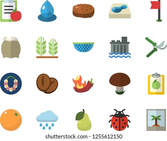 Color flat icon set colander flat vector, flour, cutlet, coffee beans, hot peppers, pear, orange, mushroom, ladybird, secateurs, rain, pool, hydroelectric power station, drop, ear, diet, sports flag